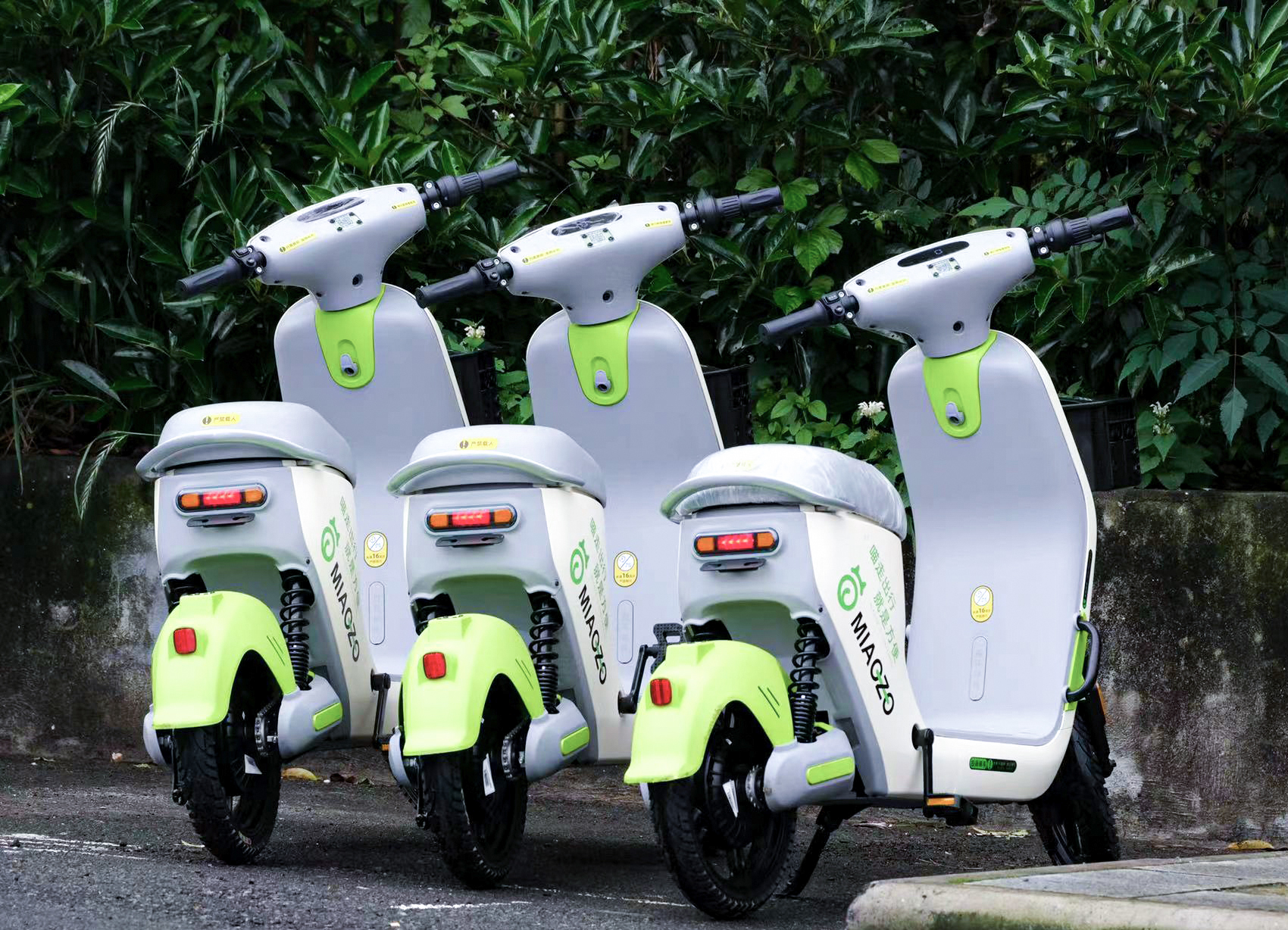 景區共享電動(dòng)車(chē)投放